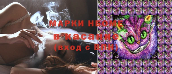 шишки Арсеньев