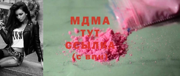 шишки Арсеньев