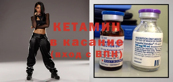 шишки Арсеньев