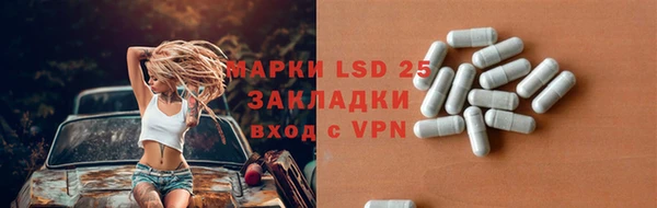 шишки Арсеньев