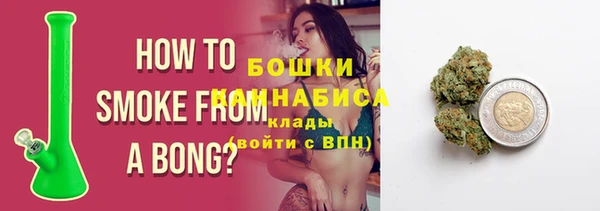 шишки Арсеньев
