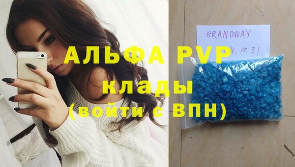 шишки Арсеньев