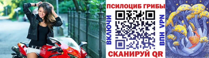 Купить где  Бирюч  Псилоцибиновые грибы мухоморы 